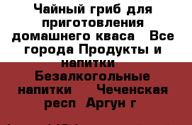 Чайный гриб для приготовления домашнего кваса - Все города Продукты и напитки » Безалкогольные напитки   . Чеченская респ.,Аргун г.